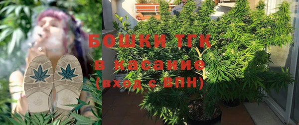 эйфоретик Богданович