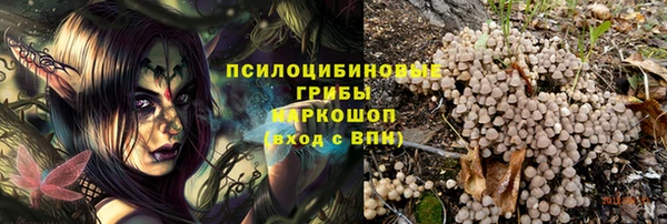 эйфоретик Богданович