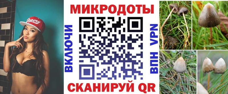Галлюциногенные грибы мухоморы магазин наркотиков Балашов